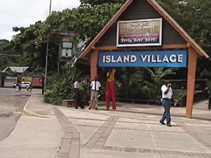 Island Tours